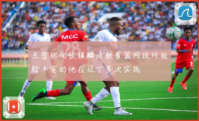 王哲林向张镇麟请教剪篮网技巧经验丰富的他在辽宁多次实践